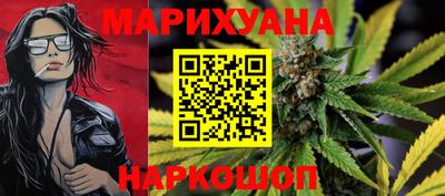 сатива Коммунар