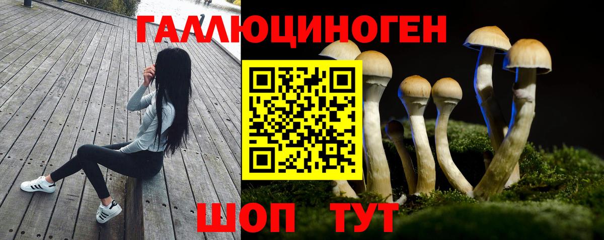 Галлюциногенные грибы прущие грибы  Вход с VPN  Котовск  Галлюциногенные грибы Magic Shrooms 
