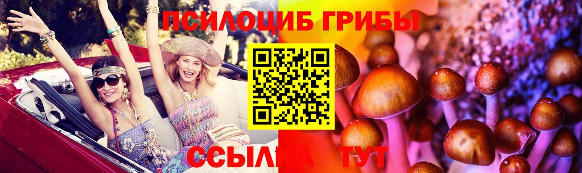 Псилоцибиновые грибы мухоморы Котовск